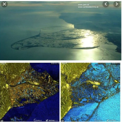 Actualidad Y Empleo Ambiental