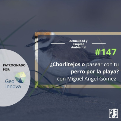 Actualidad Y Empleo Ambiental