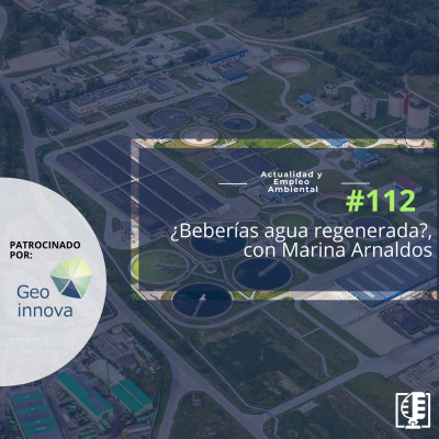 Actualidad Y Empleo Ambiental