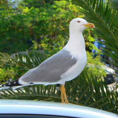 Actualidad Y Empleo Ambiental