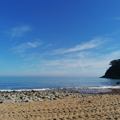 Actualidad Y Empleo Ambiental