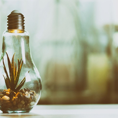 Actualidad Y Empleo Ambiental