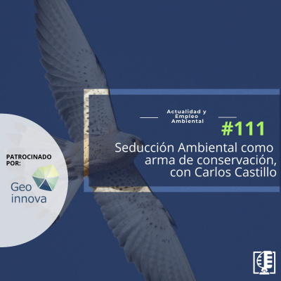 Actualidad Y Empleo Ambiental