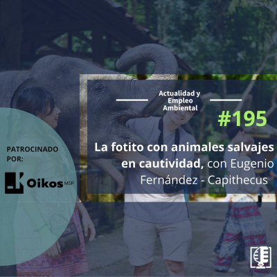 Actualidad Y Empleo Ambiental