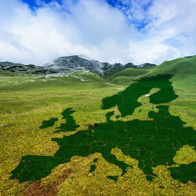 Actualidad Y Empleo Ambiental