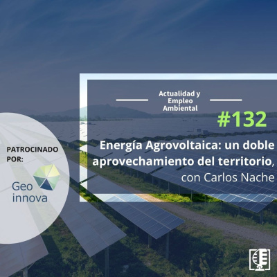 Actualidad Y Empleo Ambiental
