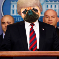 The One with The White House memo