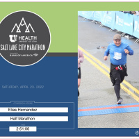 La Parábola Del Papalote, Retoma Tu Objetivo, Vision, Y Propósito