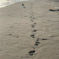 Optimiza tu Vida en Areas De Importancia