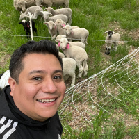 Luchando con Gigantes