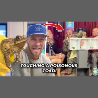 Do Woman Belong In The Kitchen? And Touching A Poisonous Toad (Season 6, Episode 9)