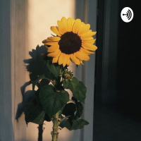 Introduction (Will probably redo)