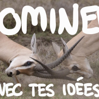 Dominer avec tes idées (le paradoxe du formateur)