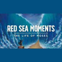 Miracle in the Mirror (Audio)