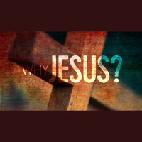 Back from the Dead (Audio)