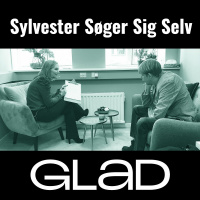 SYLVESTER SØGER SIG SELV - Metakognitiv terapi