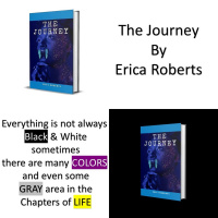 Guest Speaker Author Erica Roberts Talks About Her Book The Journey @2DaMaxRecords