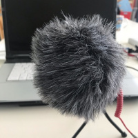 Couch Earls Trial Episode