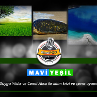 Alındı belgesi verilmeyen Yeşiller Partisinin Eşsözcüsü Urbarlı: Türkiyenin neşesini çaldılar