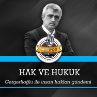 ‘İktidar çıplak aramayı kabul etti ama halen kaygılıyız, Özlem Zengin istifa etmeli’ - Ömer Faruk Gergerlioğlu