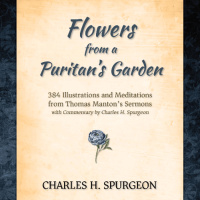 The Wolf and the Picture of a Sheep - Flowers from a Puritans Garden