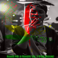 Riddim Pan Di Riddms Vol 3 ( Pure Reggae )