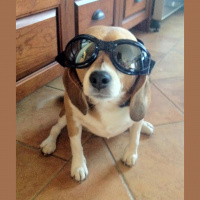 Malcom Brown Dropping?