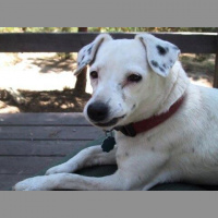 Cowboys Vent- Conversation w/ Ben Grimaldi