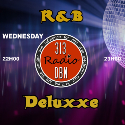 313 Dbn Radio