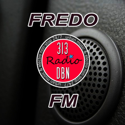 313 Dbn Radio