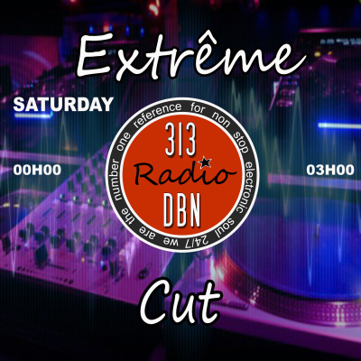 313 Dbn Radio