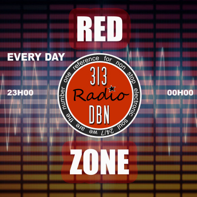 313 Dbn Radio