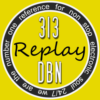 313 Dbn Radio