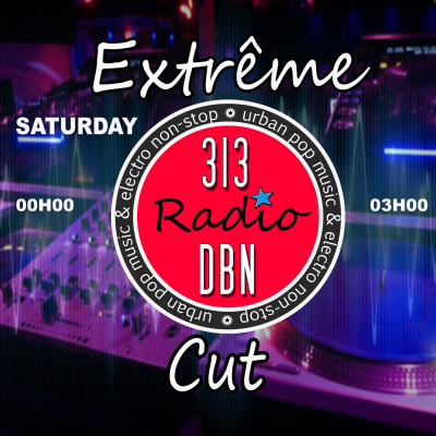 313 Dbn Radio