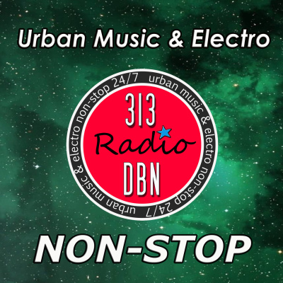 313 Dbn Radio