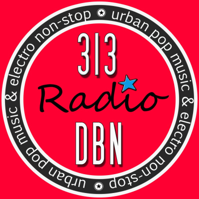313 Dbn Radio
