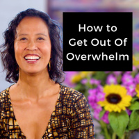 Episode 247 - How to Get Out of Overwhelm
