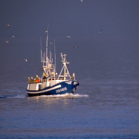 S XX George Clayton Johnson Cambio en el mar