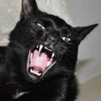 S XX James Herbert. Maurice y Mog