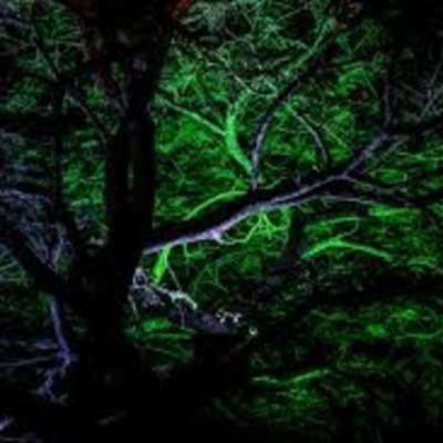 Relatos De Terror, Ciencia Ficción, Misterio...