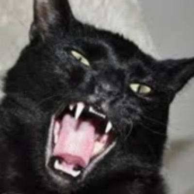 Relatos De Terror, Ciencia Ficción, Misterio...