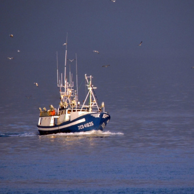 Relatos De Terror, Ciencia Ficción, Misterio...