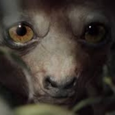 Relatos De Terror, Ciencia Ficción, Misterio...