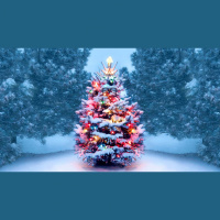 2019 Christmas Special