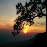 [คน พเนจร] EP 2 ภูกระดึง ไปให้ถึงที่ยอดภู