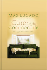 Cure For The Common Life