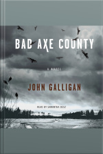 Bad Axe County: A Novel