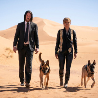 John Wick: Chapter 3 - Parabellum