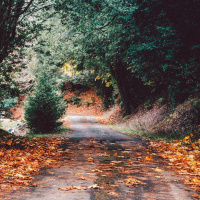 为什么要练习冥想