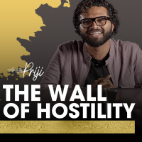 The Wall of Hostility